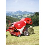 Lely, Mengele und Welger