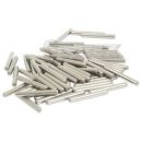 Lagerrollen (75 Stk.)